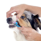 Soft Pet Toothbrush withThree Sided