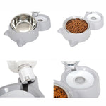 Petshys Dog Cat Food Bowl